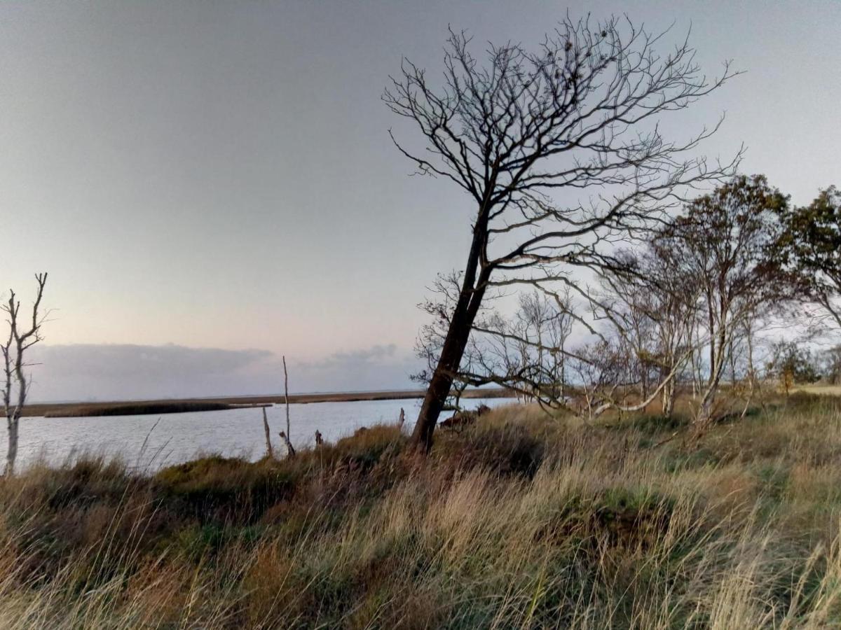 Haus MeerErleben - Urlaub mit Hund an der Nordsee Schweiburg Exterior foto